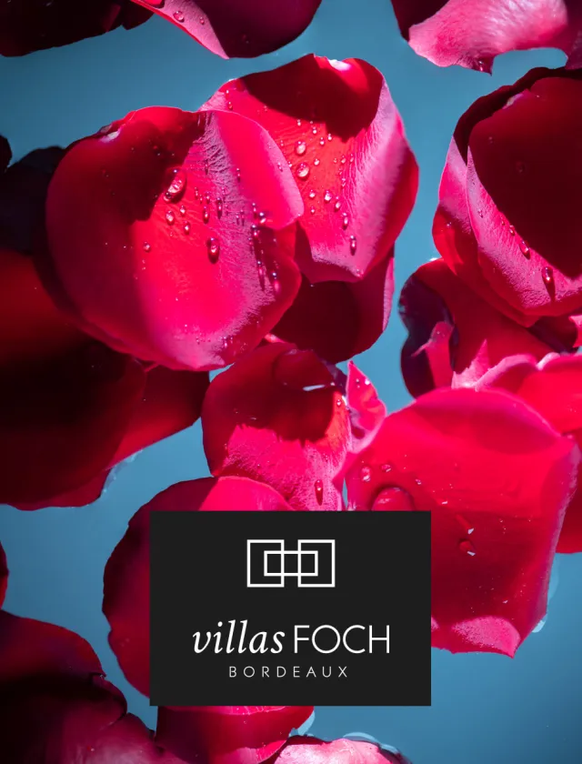 So Foch